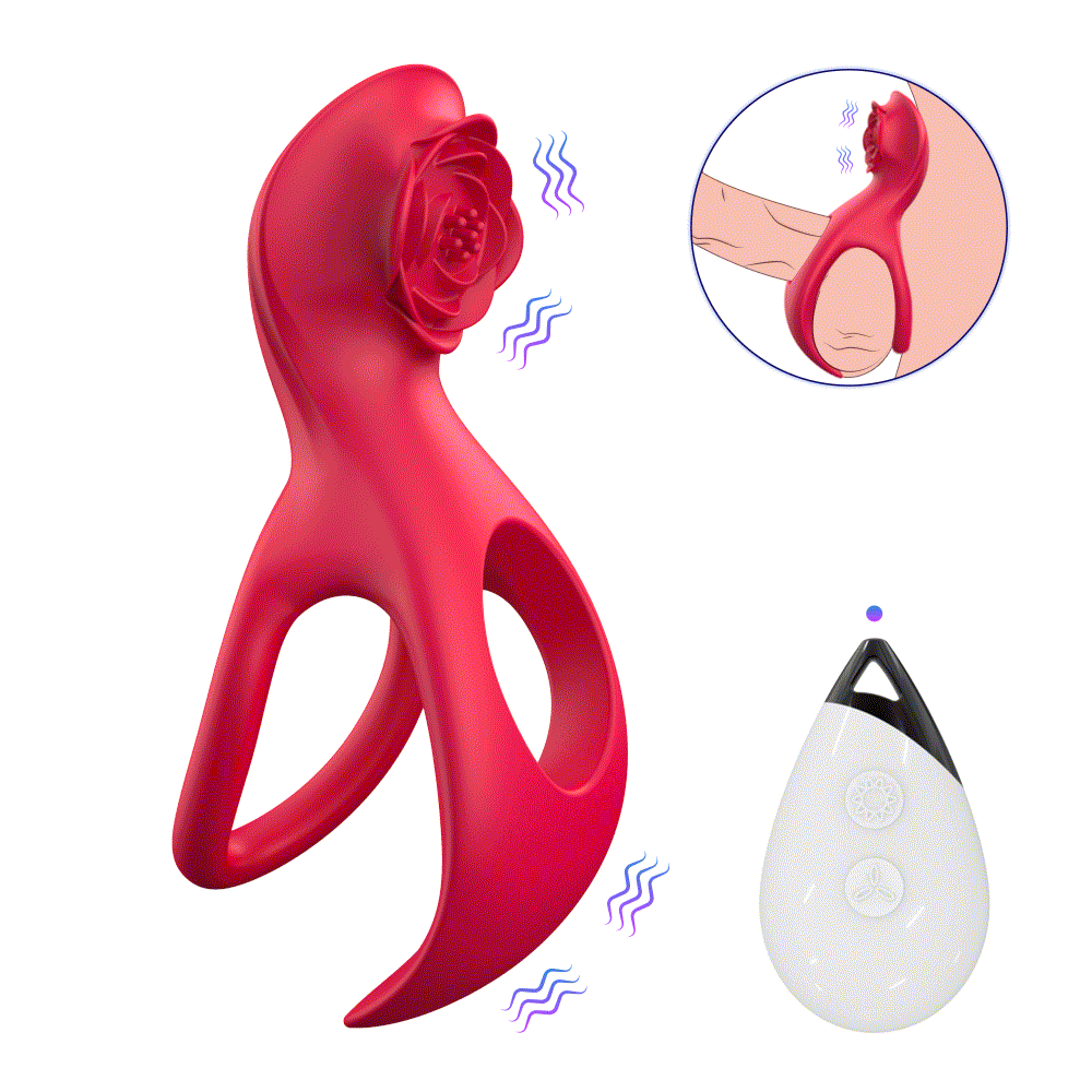 Anel Duplo com Vibro e Controle Remoto - Nolan-B