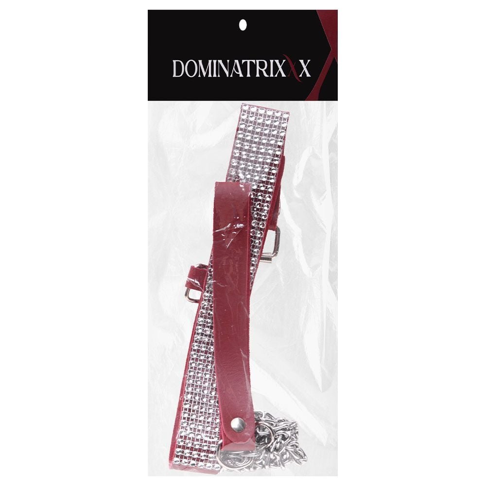 Choker Strass Com Guia Dominatrixxx