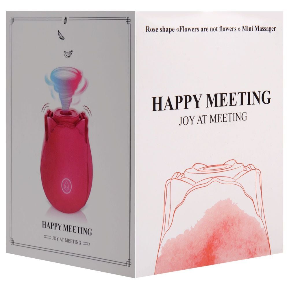 Flor Vibrador Pulsação Meet Happy Usb Yaffa