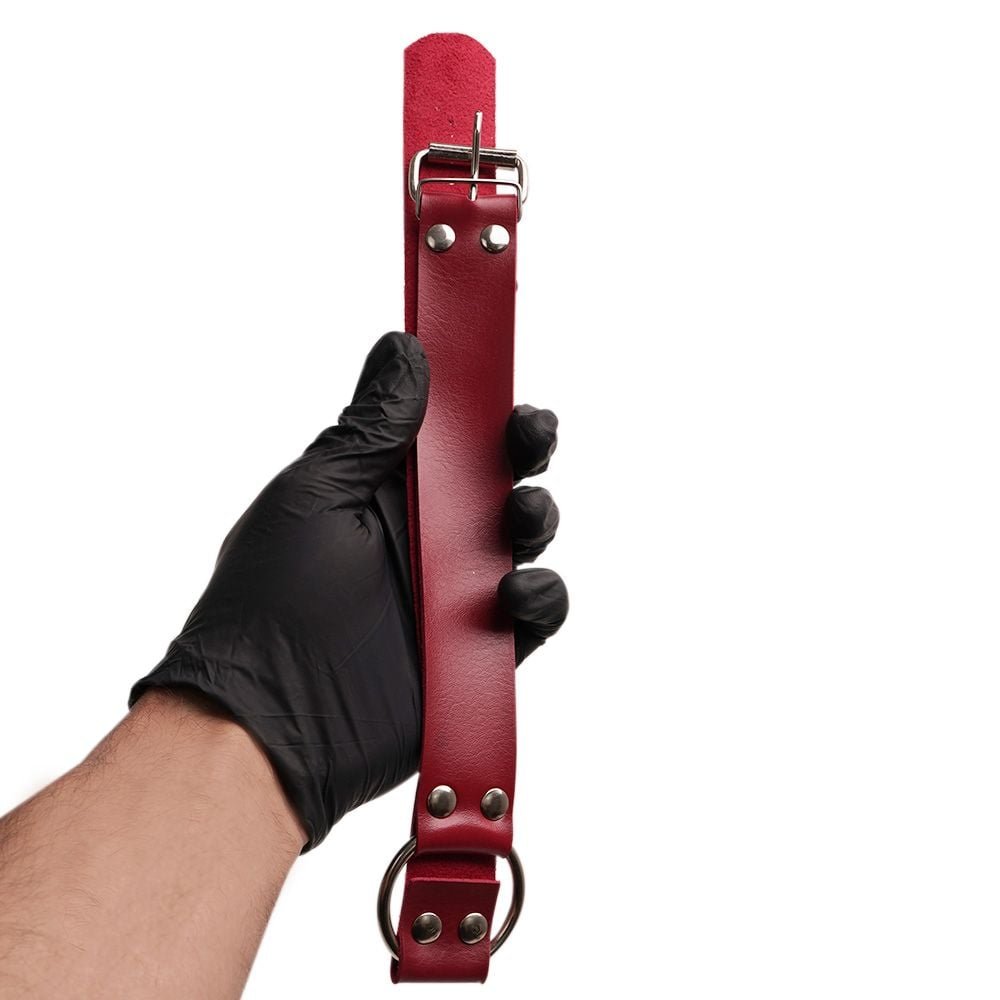 Gargantilha Com Argola Média Dominatrixxx