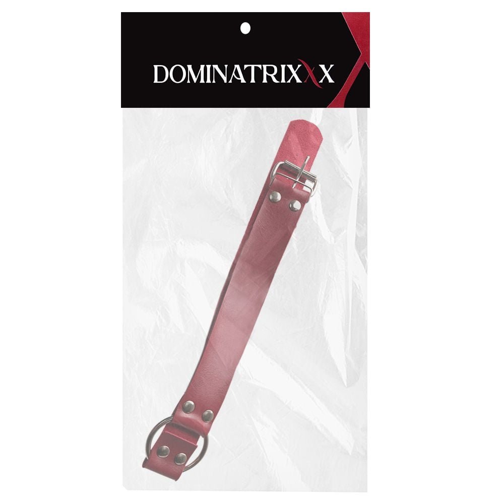 Gargantilha Com Argola Média Dominatrixxx