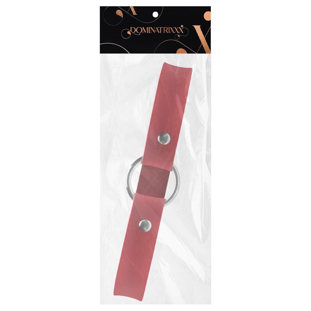 Gargantilha Com Argola Pequena Dominatrixxx