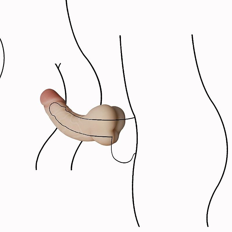 Masturbador masculino Ânus - Formato de Pênis
