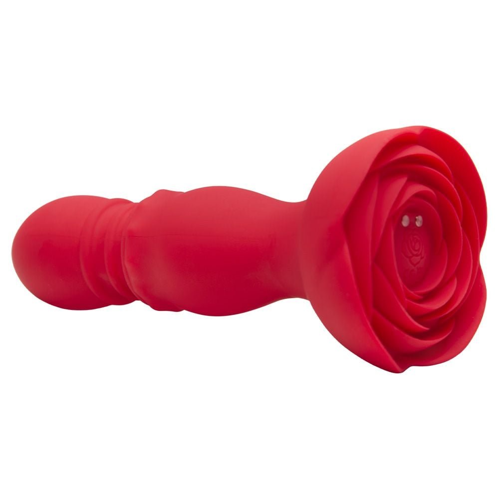 Plug Anal Vai E Vem Com Controle Remoto Sexy Import