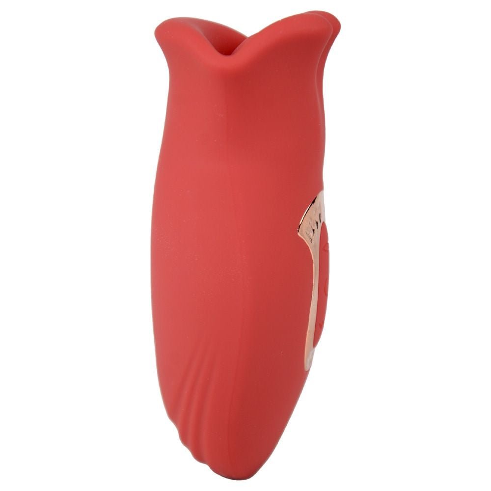 Vibrador Boca 2 Recarga Via Usb 10 Vibrações Yaffa