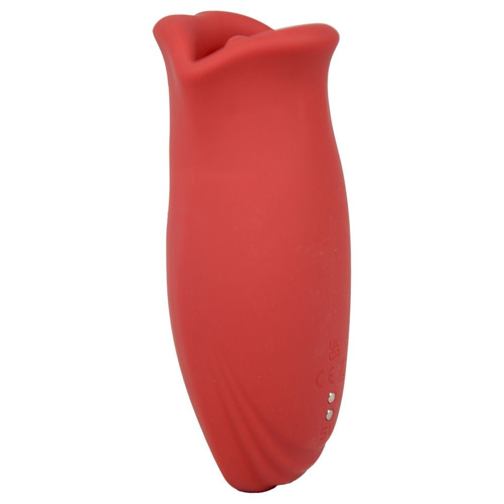 Vibrador Boca 2 Recarga Via Usb 10 Vibrações Yaffa