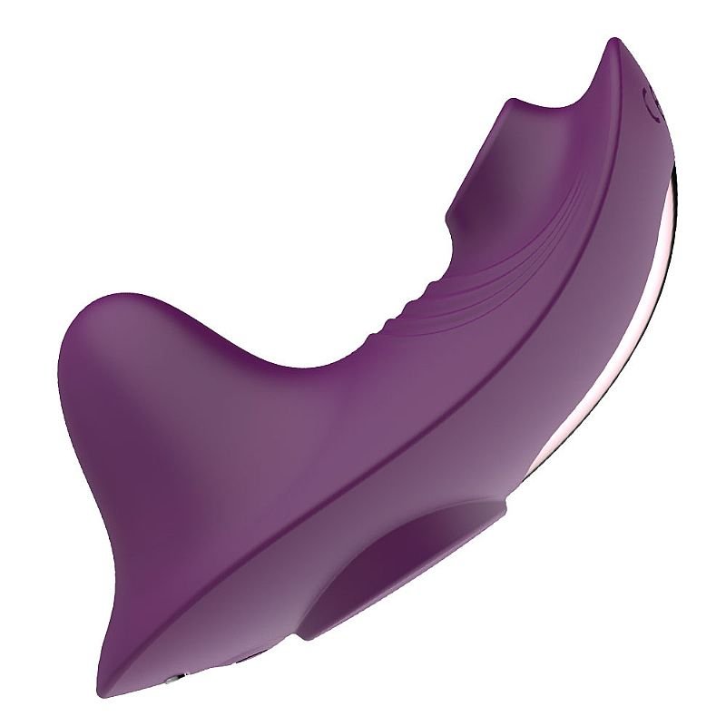 Vibrador de Calcinha com Controle Remoto - Sophia - Pink