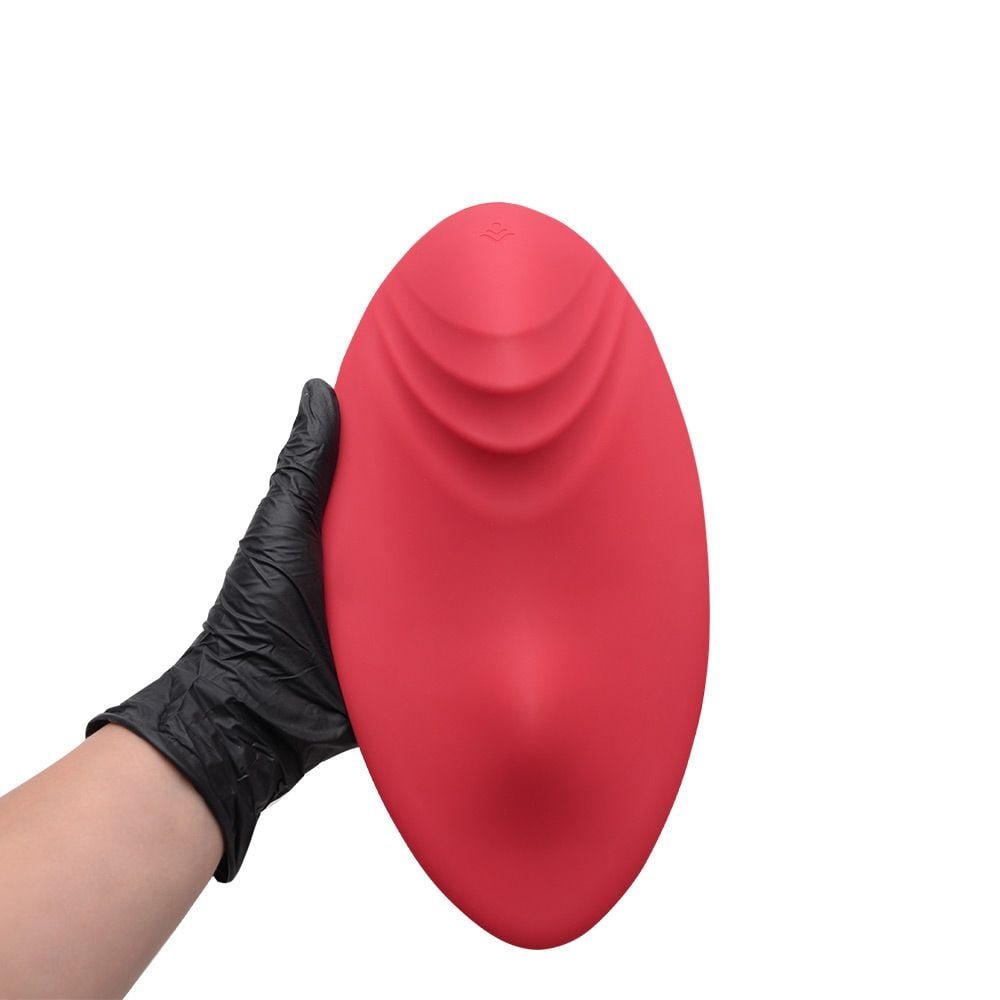 Vibrador De Calcinha Lovepad S-hande Sexy Import