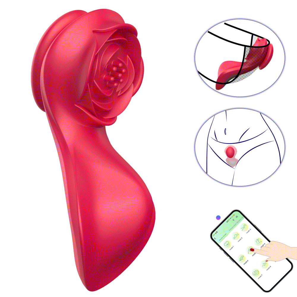 Vibrador de Calcinha - Paraty - À Longa Distância - APP