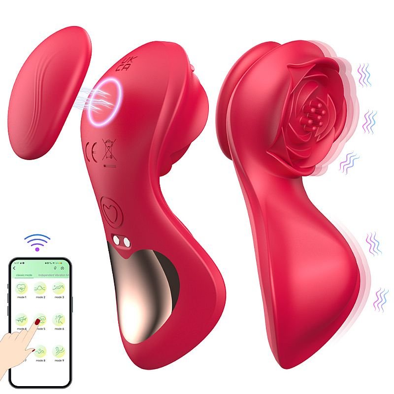 Vibrador de Calcinha - Paraty - À Longa Distância - APP
