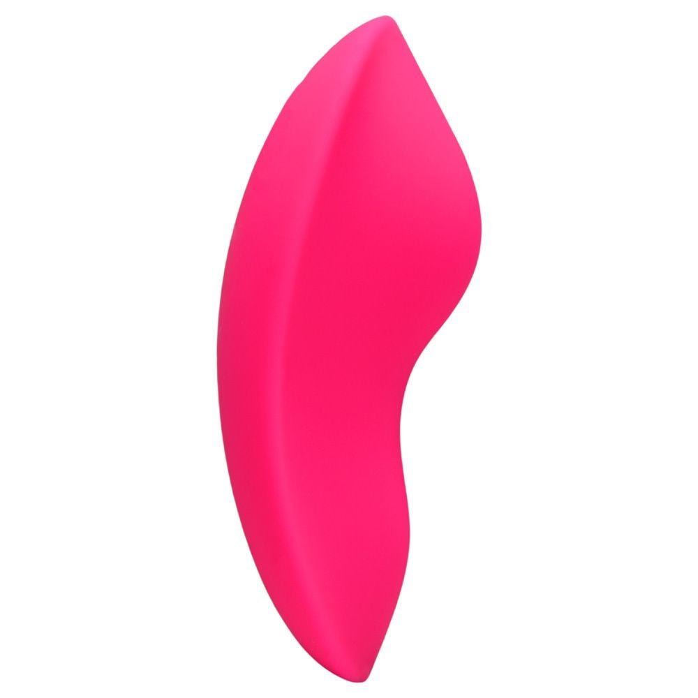 Vibrador De Calcinha Via App 9 Modos Slow Sexy Import