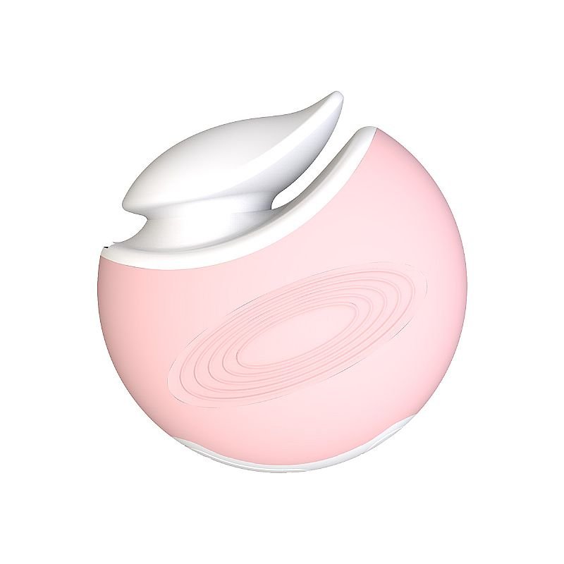 Vibrador de Clitóris com Case de Acrílico Recarregável - Homi 1