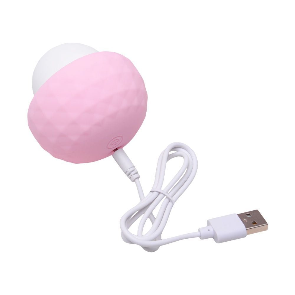 Vibrador De Clitóris Pérola 10 Modos Usb Sexy Import