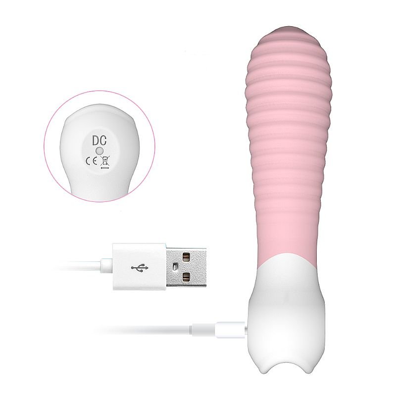 Vibrador de Clitóris - Recarregável - Mini 2 - S-Hande