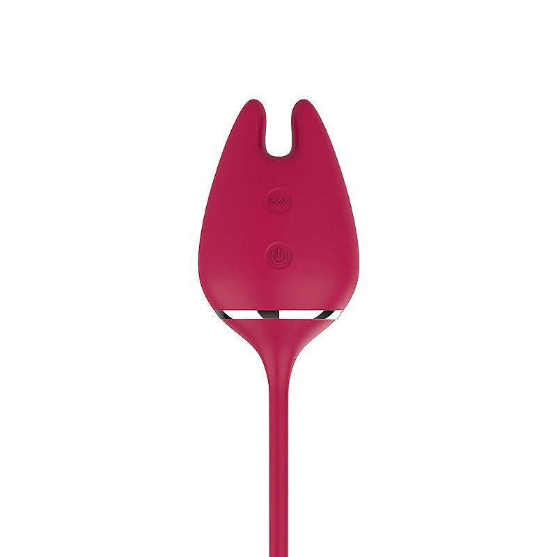 Vibrador de Ponto G com Vai e vem - Estimulador de Clitóris - Wonder lady - Recarregável - S-Hande