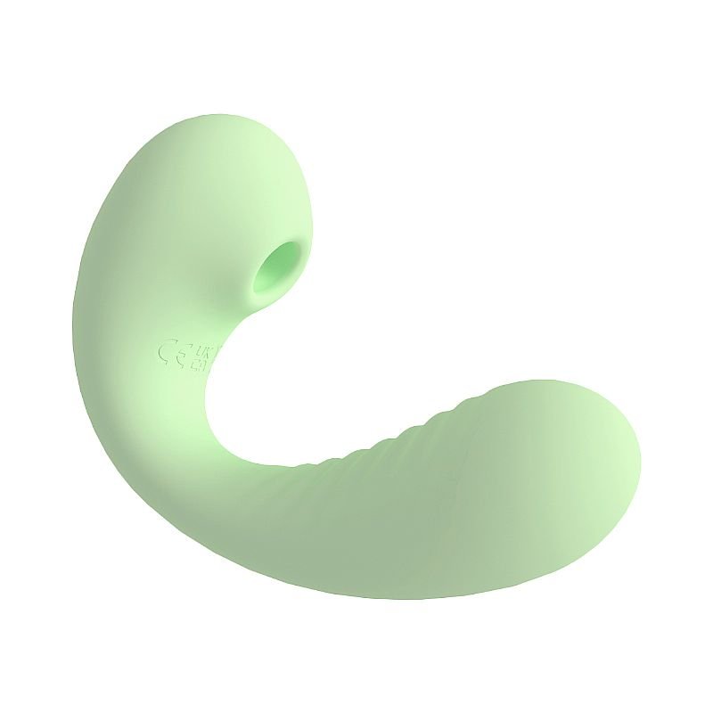 Vibrador de Ponto G e Clitóris com Pulsação - À Longa distância APP - Com Case