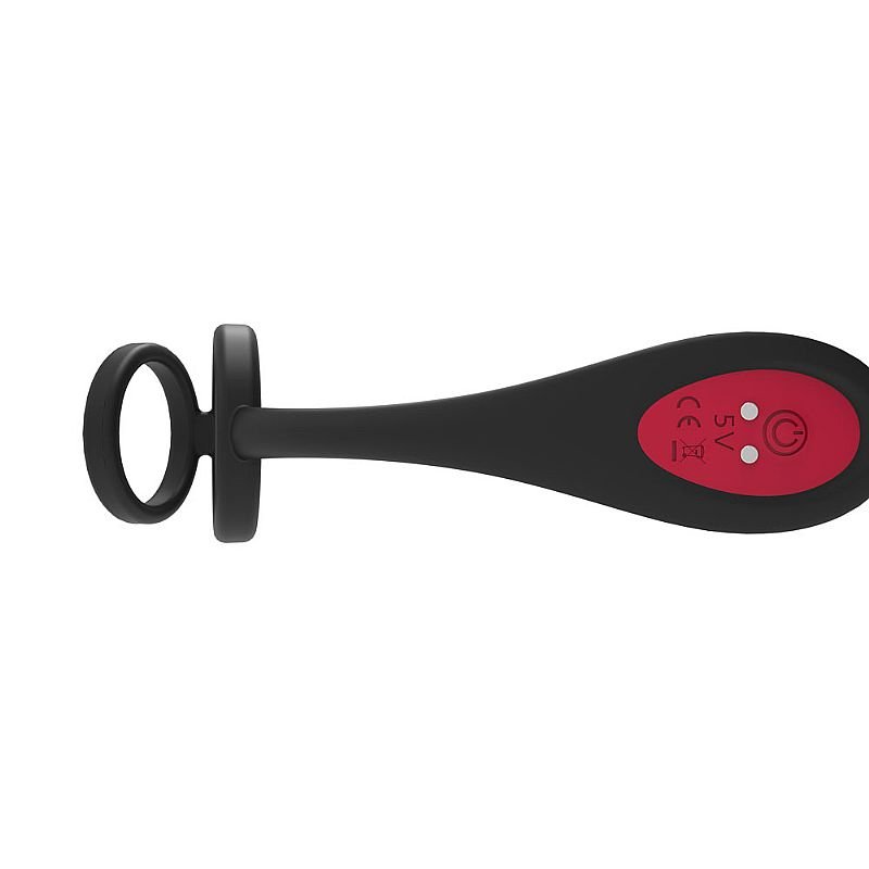 Vibrador de Próstata com Anel Peniano - Recarregável - Lanco - S-Hande